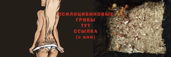 МДПВ Абаза