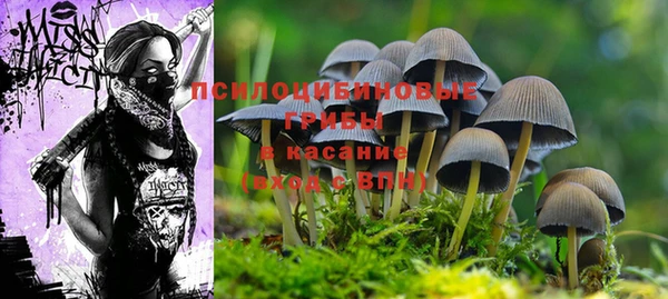 МДПВ Абаза