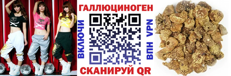 Псилоцибиновые грибы Psilocybe купить сайты Томари
